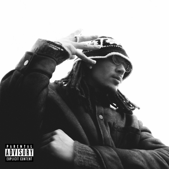 STEPPIN — cover artwork